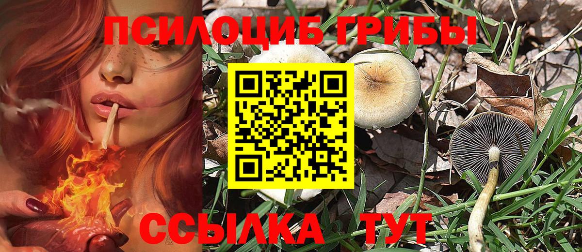 Костомукша  Галлюциногенные грибы GOLDEN TEACHER  Галлюциногенные грибы мухоморы  Вход с VPN 